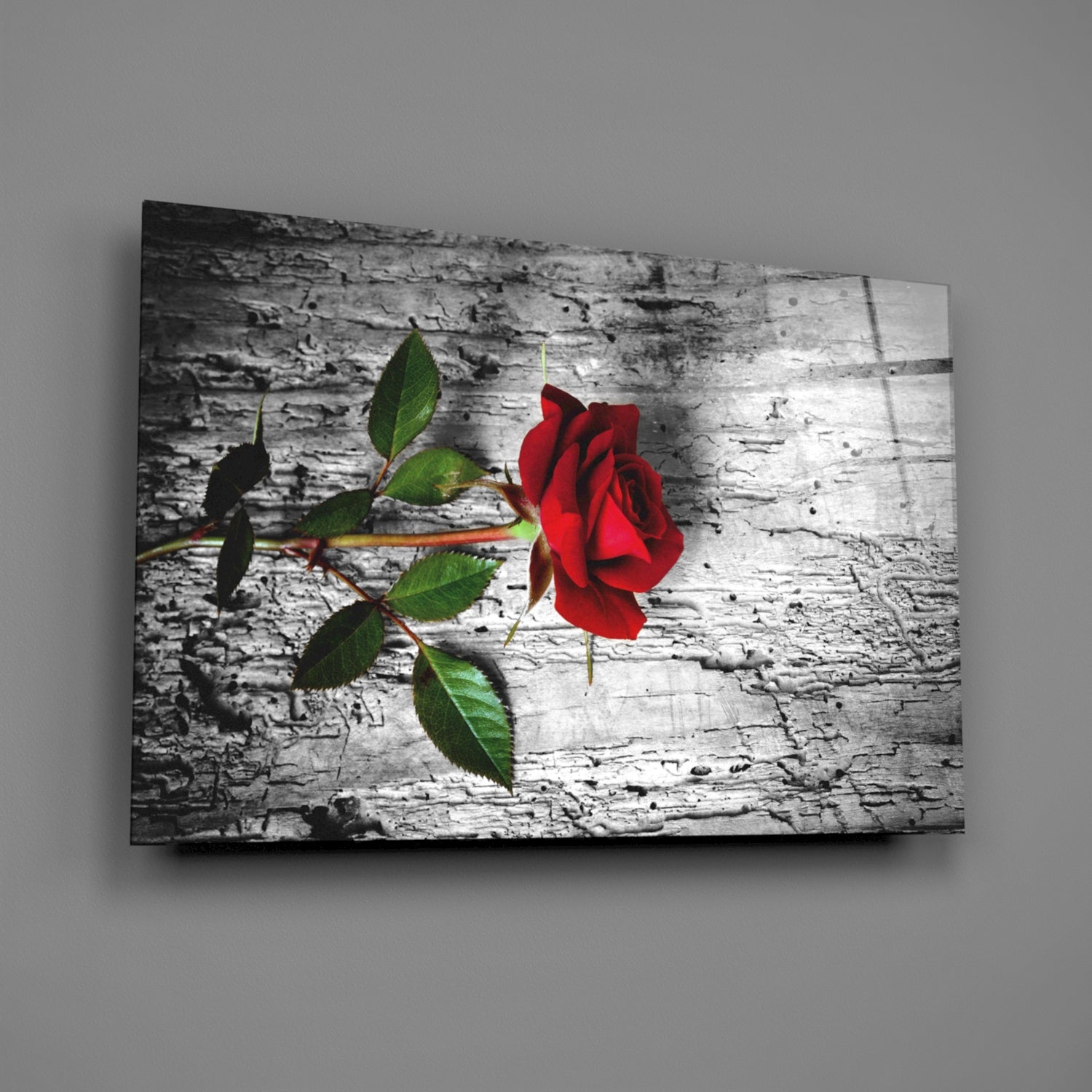 Red Rose Glass Wall Art