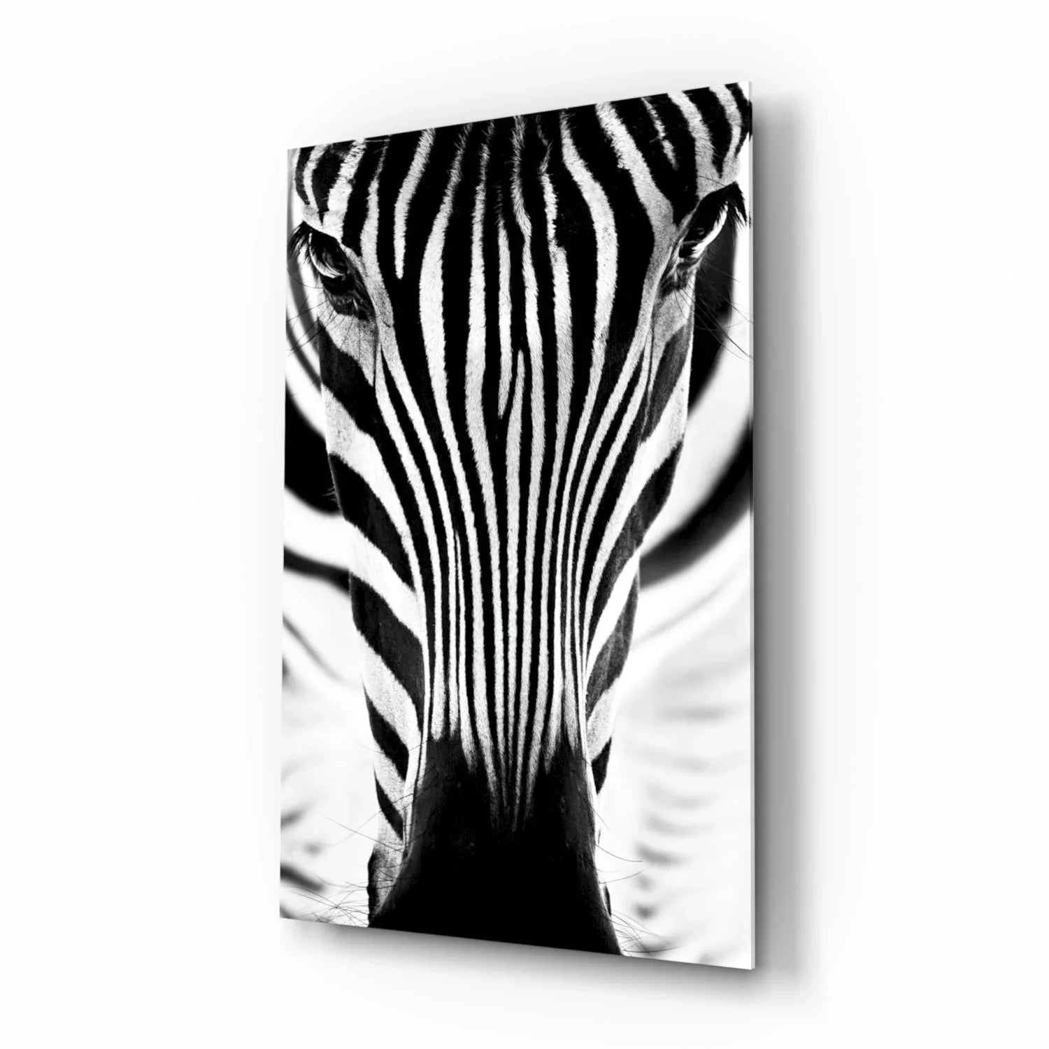 Zebra Glass Wall Art - LUXARTDECO