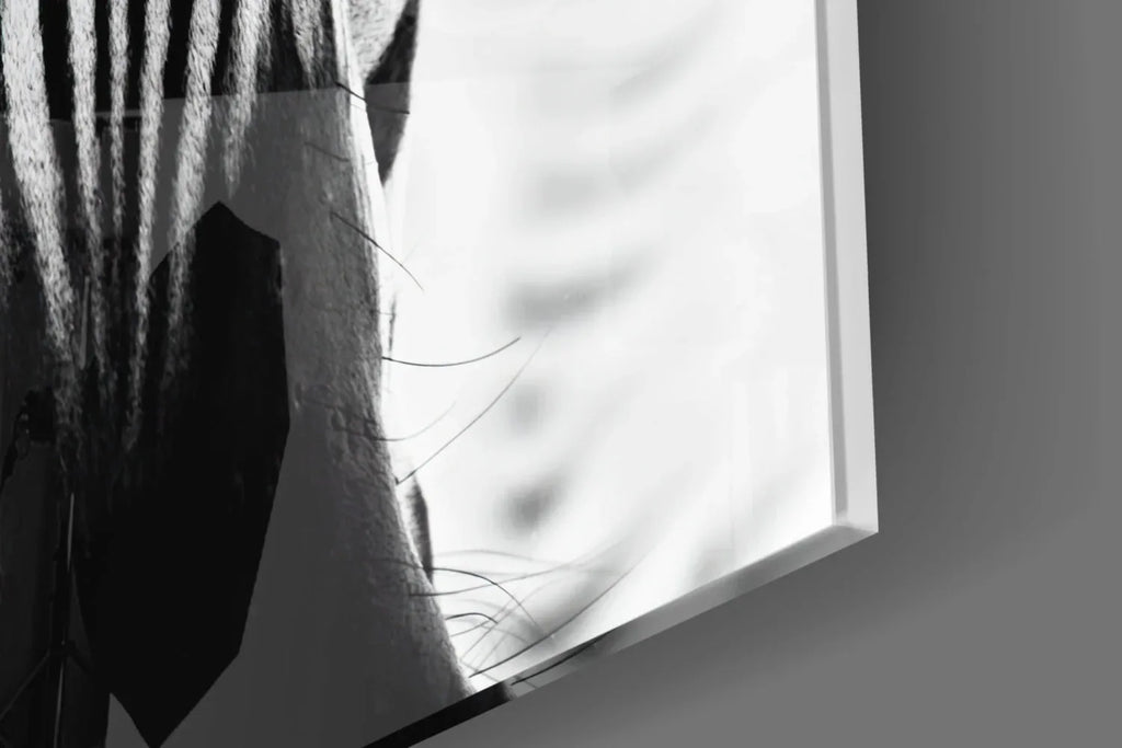 Zebra Glass Wall Art - LUXARTDECO