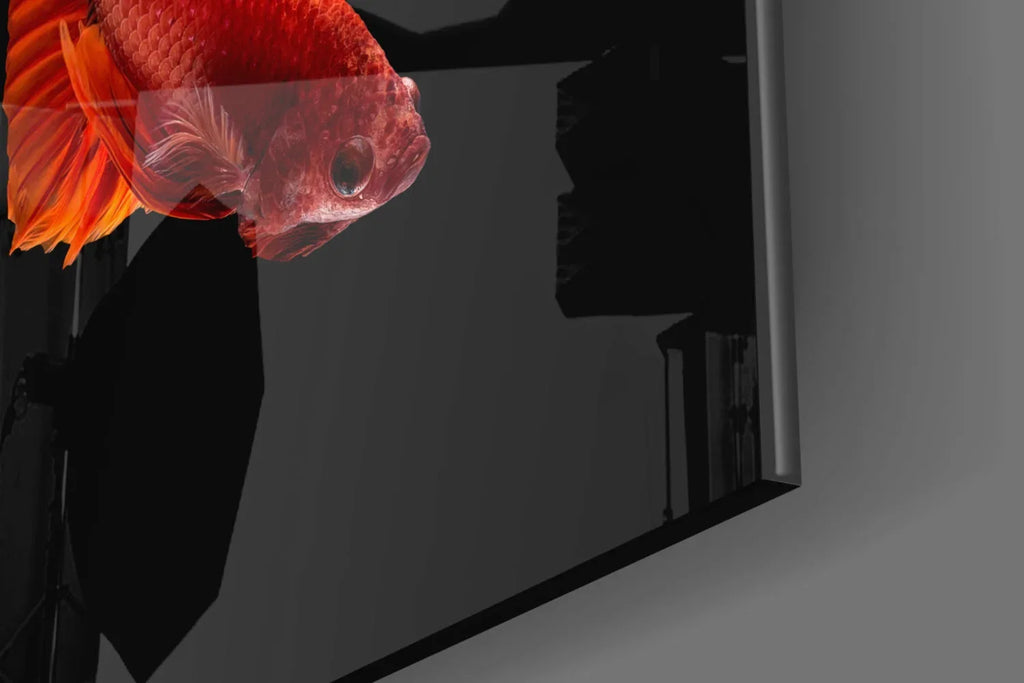 Betta's Dance Glass Wall Art - LUXARTDECO