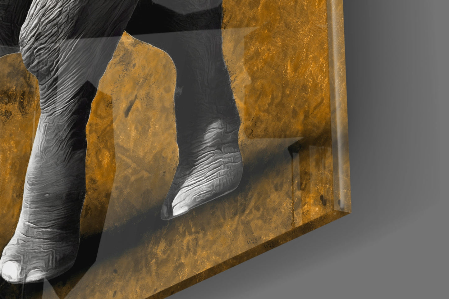 Elephant Glass Wall Art