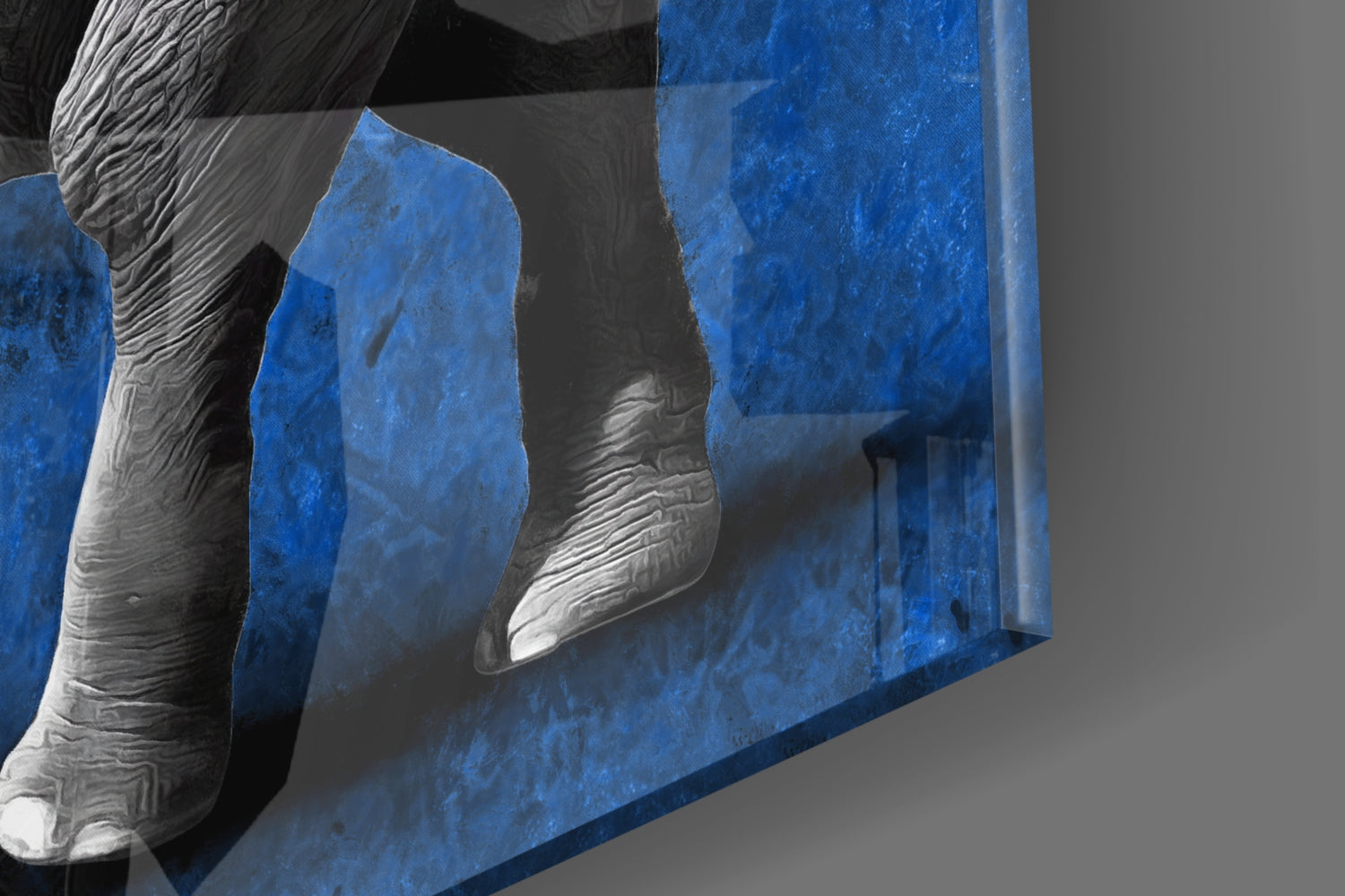 Elephant Glass Wall Art