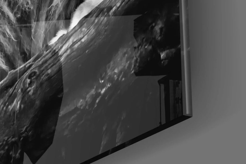 Lion Glass Wall Art - LUXARTDECO