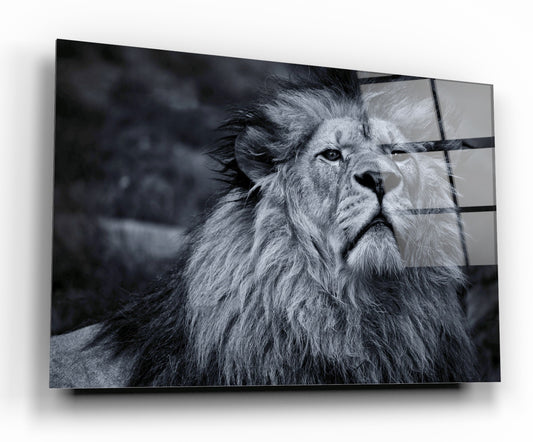 Tempered glass board