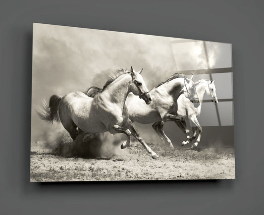 Tempered glass board