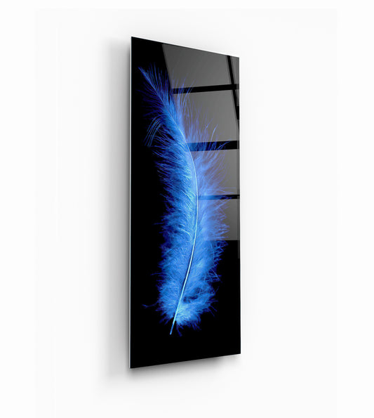 Blue Feather Glass Wall Art