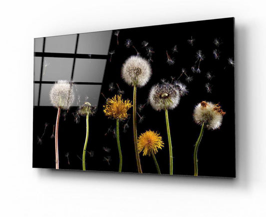 Tableau en verre trempé