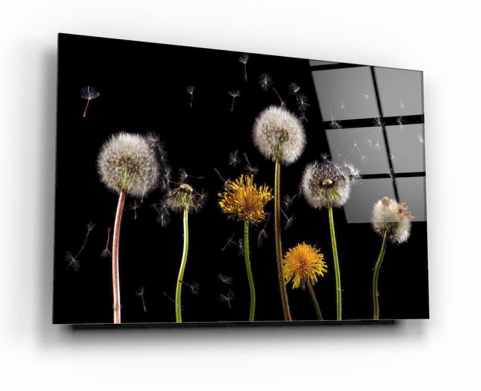 Tempered glass board