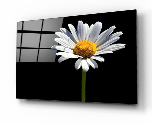 Tableau en verre trempé