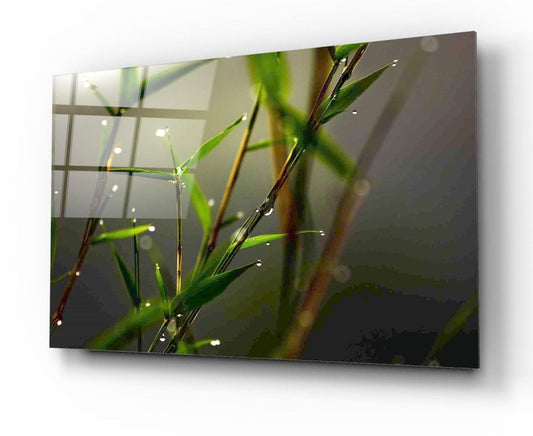 Tempered glass board