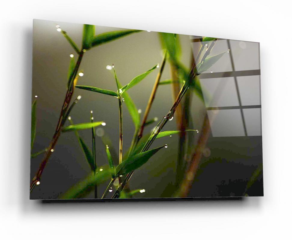 Tempered glass board