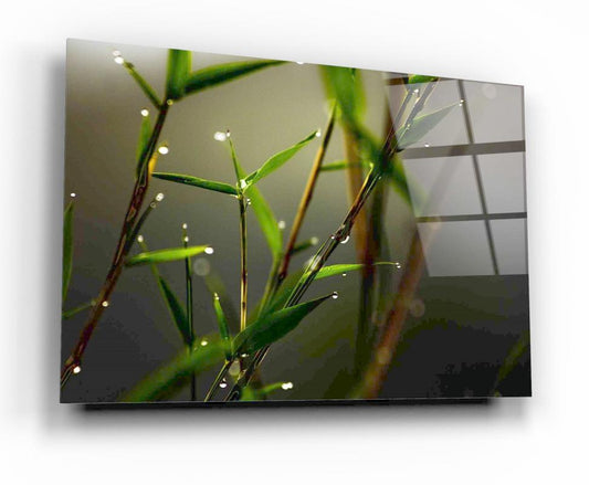 Tempered glass board