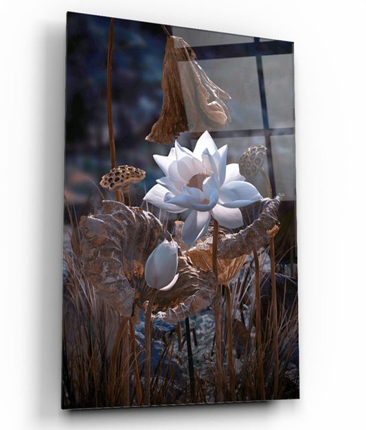 Tempered glass board