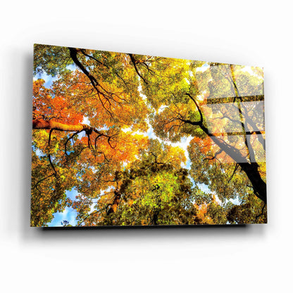 Autumn Trees Glass Wall Art - LUXARTDECO