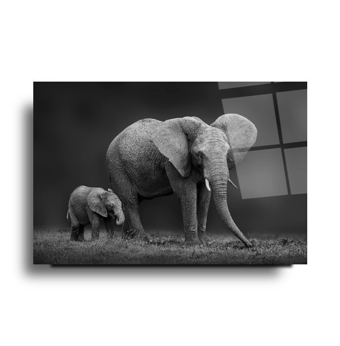 Tableau mural en verre Mère et Bébé Éléphant