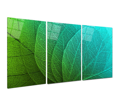 Feuilles Turquoises Tableau en Verre Trempé