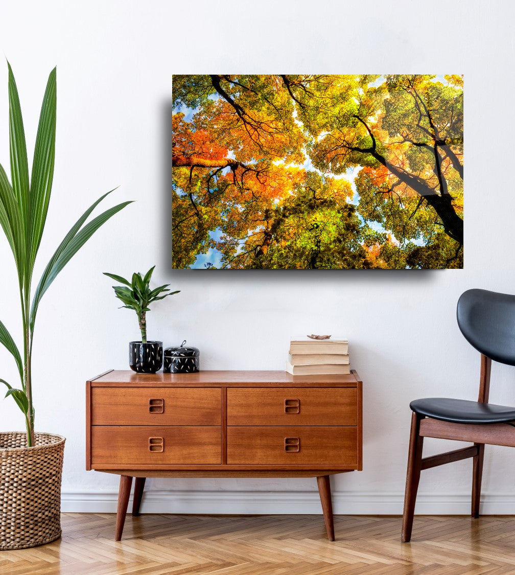 Autumn Trees Glass Wall Art