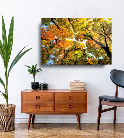Autumn Trees Glass Wall Art - LUXARTDECO