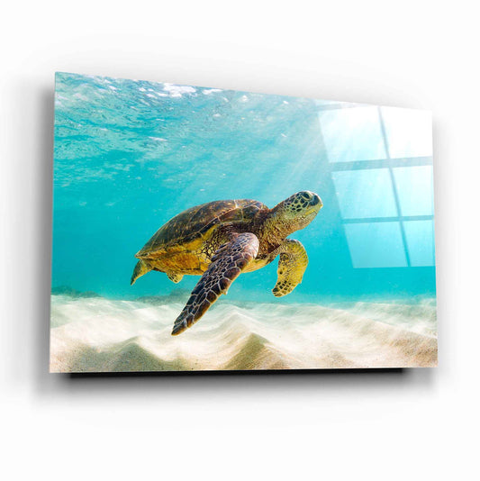 Tempered glass board