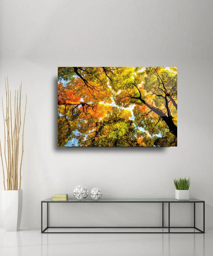 Autumn Trees Glass Wall Art - LUXARTDECO