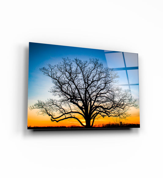 Tempered glass board