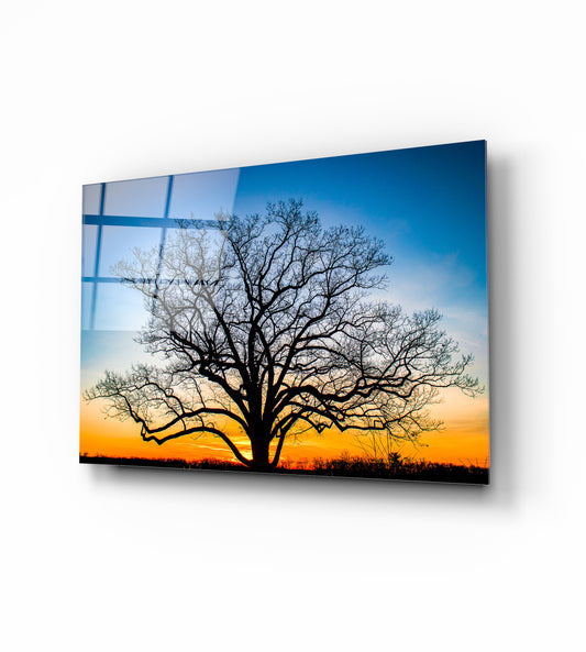 Tempered glass board