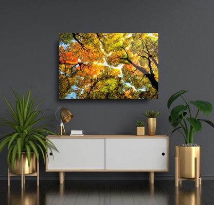 Autumn Trees Glass Wall Art - LUXARTDECO