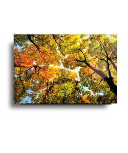 Autumn Trees Glass Wall Art - LUXARTDECO