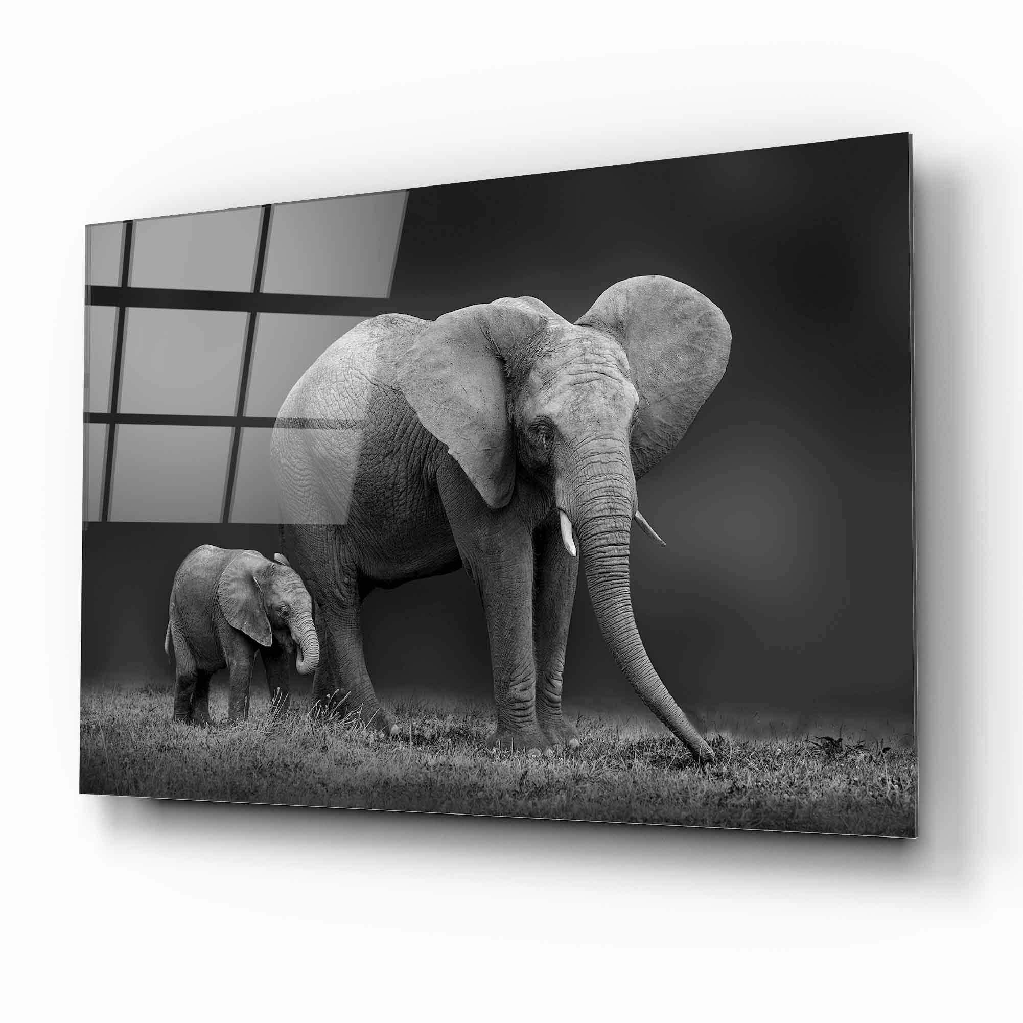 Tableau mural en verre Mère et Bébé Éléphant