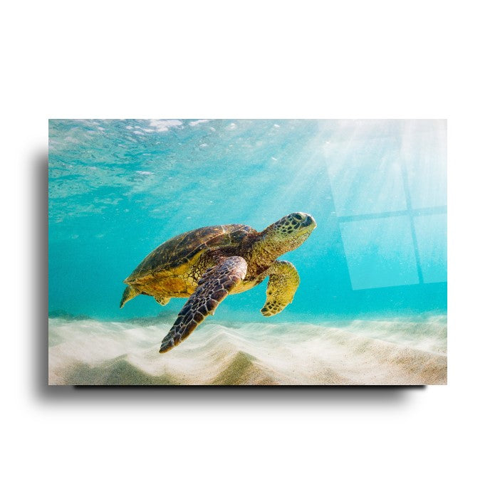 Tempered glass board