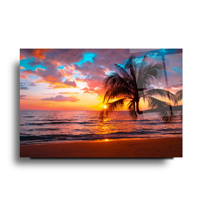 Sunset Beach Palm Glass Wall Art