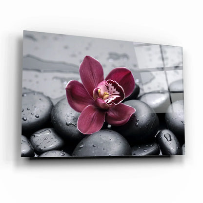 Orchid and Stones Glass Wall Art - LUXARTDECO