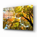 Autumn Trees Glass Wall Art