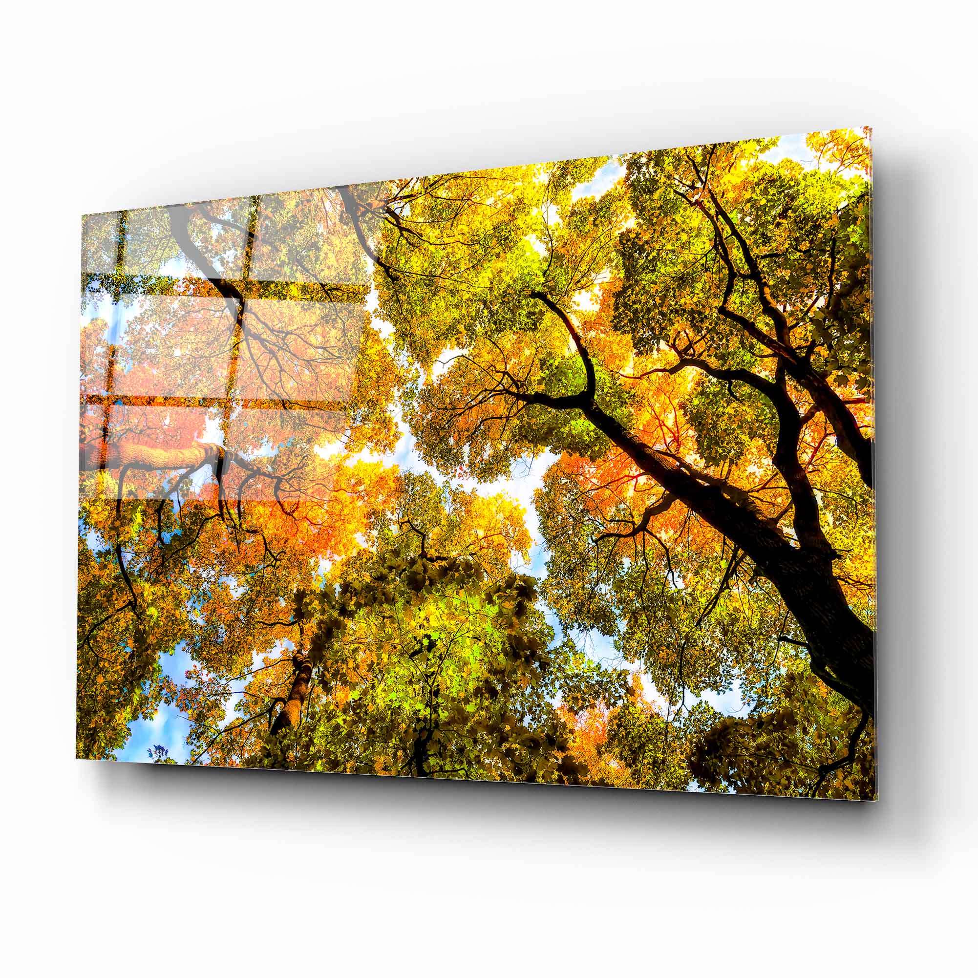 Autumn Trees Glass Wall Art