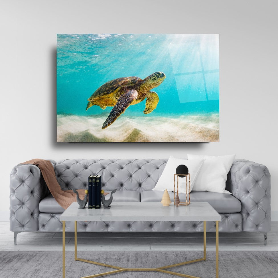Tempered glass board
